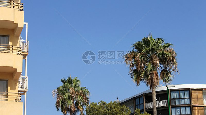 北京冬令营靠谱评测
